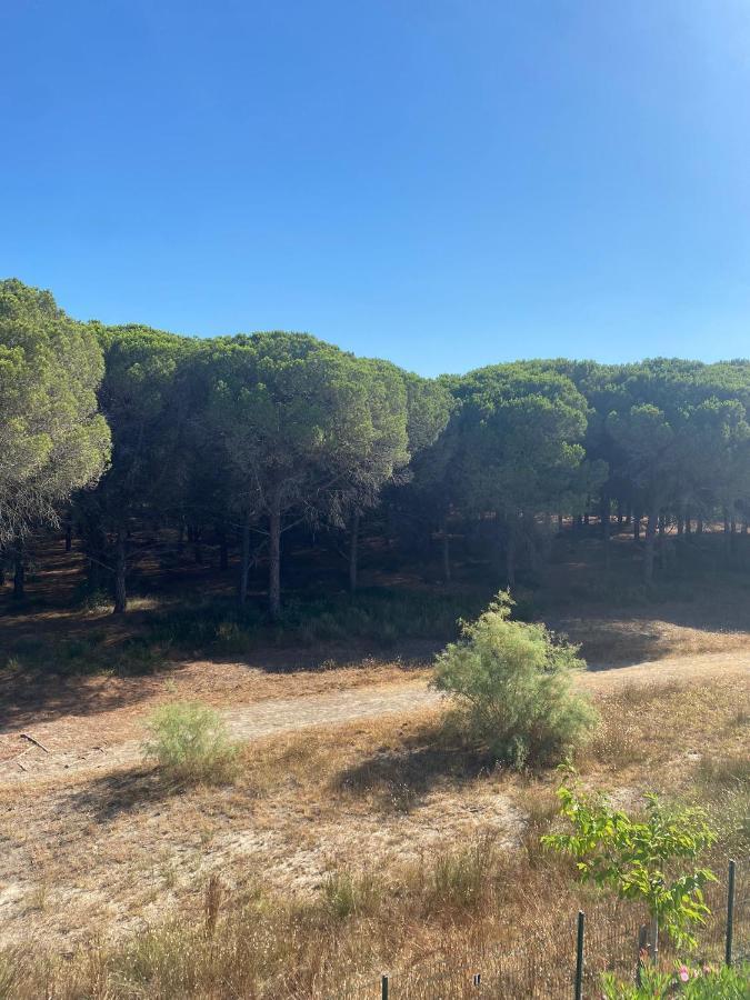 Studio Cabine Mer Et Pinede 26M2: 4Pers, Neuf, Cosy La Grande-Motte Eksteriør billede